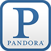 Pandora Business Radio Specialists Install Business